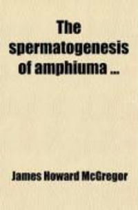 Produktbild: The Spermatogenesis of Amphiuma