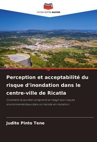 Produktbild: Perception et acceptabilit&eacute; du risque d'inondation dans le centre-ville de Ricatla