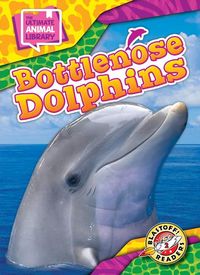 Produktbild: Bottlenose Dolphins