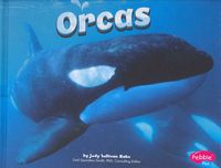 Produktbild: ORCAS