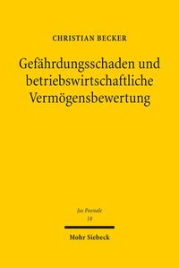 Produktbild: Gef&auml;hrdungsschaden und betriebswirtschaftliche Verm&ouml;gensbewertung