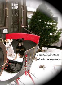 Produktbild: Solitude Christmas Miracle -5th in Series-Amish Country Murder Mysteries