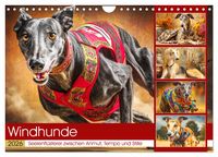 Produktbild: Windhunde. Seelenfl&uuml;sterer zwischen Anmut, Tempo und Stille (Wandkalender 2026 DIN A4 quer), CALVENDO Monatskalender