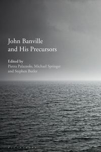 Produktbild: John Banville and His Precursors