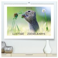 Produktbild: Lustige Zieselbabys (hochwertiger Premium Wandkalender 2026 DIN A2 quer), Kunstdruck in Hochglanz