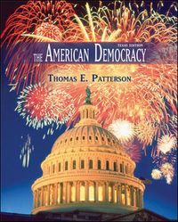 Produktbild: The American Democracy