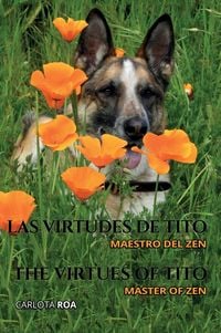 Bild vom Artikel Las virtudes de Tito vom Autor Carlota Roa