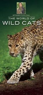 Produktbild: World Of Wild Cats