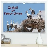 Produktbild: Zu Gast bei Familie Storch (hochwertiger Premium Wandkalender 2026 DIN A2 quer), Kunstdruck in Hochglanz