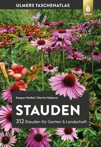 Produktbild: Stauden