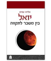 Produktbild: Yoel: Between Crisis and Hope