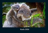 Produktbild: Koala 2026 Fotokalender DIN A4
