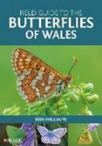 Produktbild: Field Guide to the Butterflies of Wales