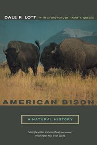Produktbild: American Bison