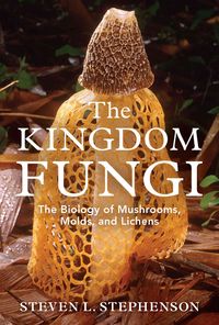 Produktbild: Stephenson, S: The Kingdom Fungi