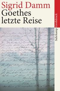 Produktbild: Goethes letzte Reise