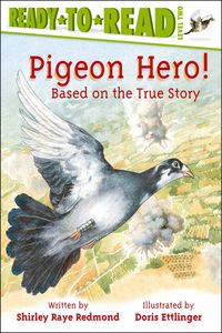 Produktbild: Pigeon Hero!