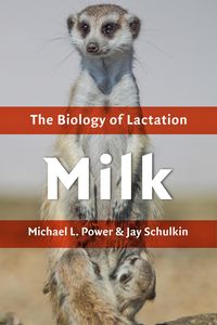 Produktbild: Milk