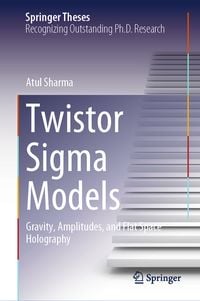 Produktbild: Twistor Sigma Models