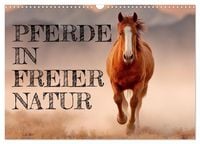 Produktbild: Pferde in freier Natur (Wandkalender 2027 DIN A3 quer), CALVENDO Monatskalender