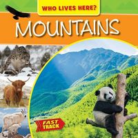 Produktbild: Mountains