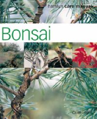 Produktbild: Bonsai
