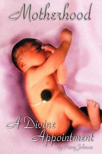 Produktbild: Motherhood A Divine Appointment
