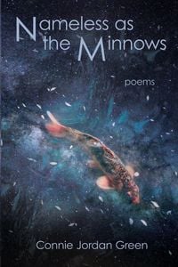 Produktbild: Nameless as the Minnows