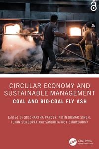 Produktbild: Circular Economy and Sustainable Management