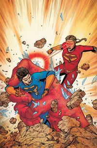 Produktbild: Superman Nightwing & Flamebird