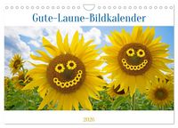 Produktbild: Gute-Laune-Bildkalender 2026 (Wandkalender 2026 DIN A4 quer), CALVENDO Monatskalender