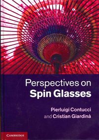 Produktbild: Perspectives on Spin Glasses