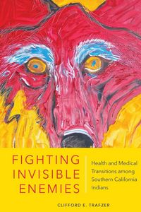 Produktbild: Fighting Invisible Enemies