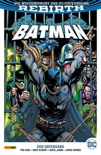 Bild vom Artikel Batman - Bd. 11 (2. Serie): Der Untergang vom Autor King Tom