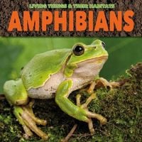 Produktbild: Amphibians