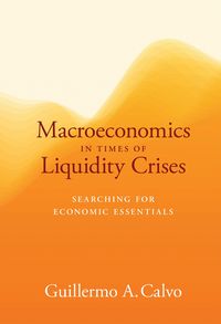 Produktbild: Macroeconomics in Times of Liquidity Crises