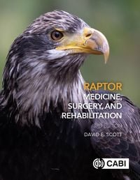 Produktbild: Raptor Medicine, Surgery, and Rehabilitation