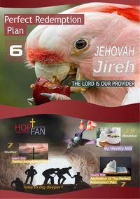 Produktbild: Perfect Redemption Plan 6