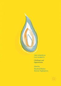 Produktbild: The European Gas Markets