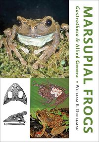 Produktbild: Marsupial Frogs