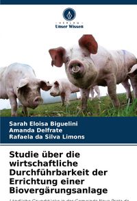 Produktbild: Studie &uuml;ber die wirtschaftliche Durchf&uuml;hrbarkeit der Errichtung einer Bioverg&auml;rungsanlage