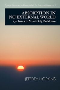 Produktbild: Absorption in No External World