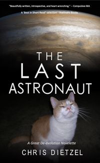 Produktbild: The Last Astronaut