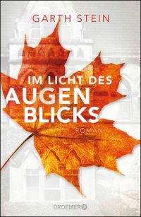 Produktbild: Im Licht des Augenblicks