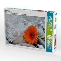 Produktbild: Ein Motiv aus dem Kalender Natur - im Detail (Puzzle)