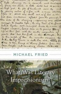 Produktbild: Fried, M: What Was Literary Impressionism?