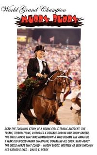 Produktbild: World Grand Champion - Muddy Buddy