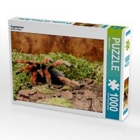 Produktbild: CALVENDO Puzzle Vogelspinne | 1000 Teile Lege-Gr&ouml;&szlig;e 64x48cm Foto-Puzzle f&uuml;r gl&uuml;ckliche Stunden