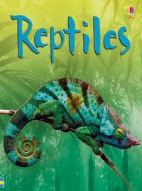 Produktbild: Reptiles