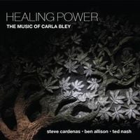 Produktbild: Healing Power: The Music of Carla Bley